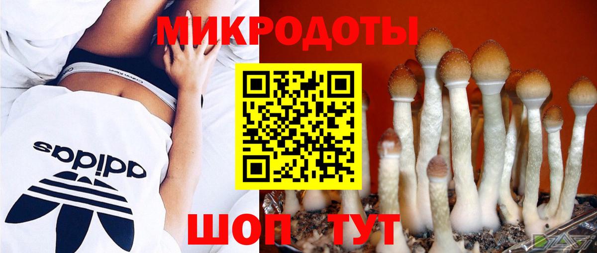 Галлюциногенные грибы Cubensis Донской